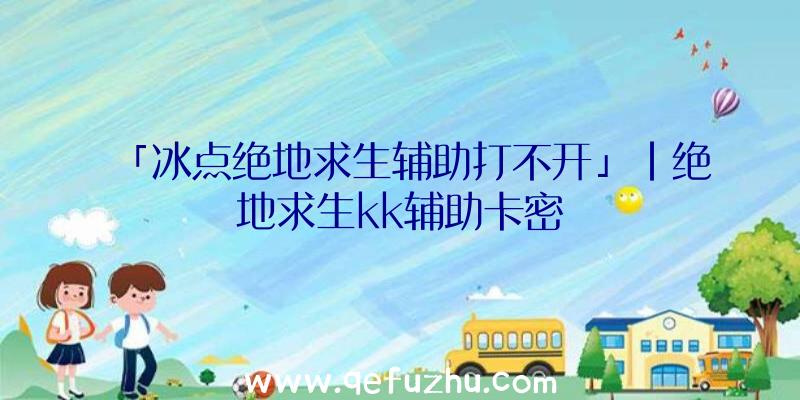 「冰点绝地求生辅助打不开」|绝地求生kk辅助卡密